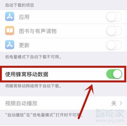 苹果手机此时无法下载app