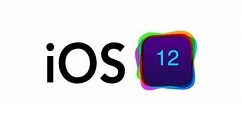 ios12中使用放大器的详细步骤