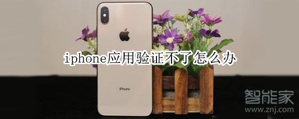 iphone应用验证不了怎么办