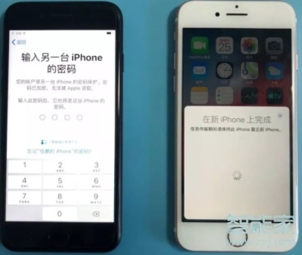 iphone11快速开始在哪里