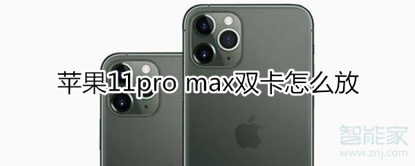 苹果11pro max双卡怎么放