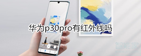 华为p30pro有红外线吗