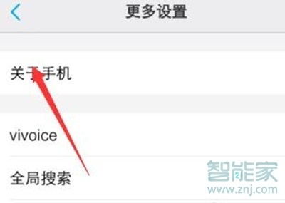 vivoz5开发者选项在哪