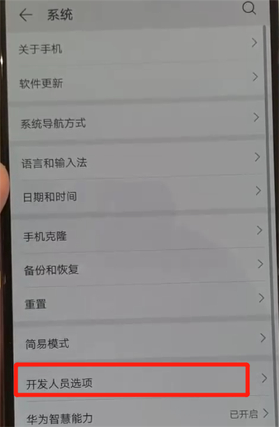 华为p30pro中将开发人员选项关闭具体操作步骤