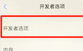 vivoz3中将开发者选项打开具体操作步骤