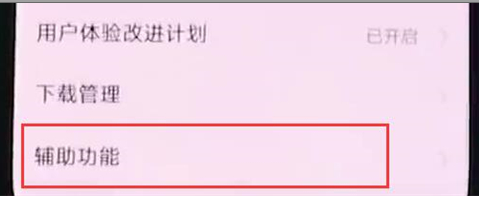 vivonex双屏版中开启放大手势具体操作步骤