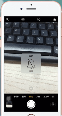 苹果手机中将相机声音关掉具体操作流程