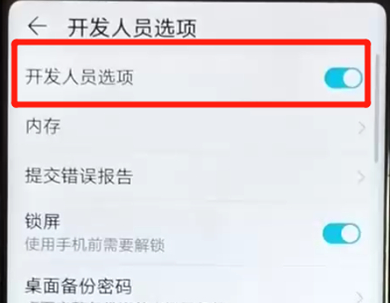 荣耀v20中开启开发者选项具体方法介绍