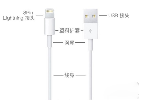 iPhone数据线如何辨别真伪？