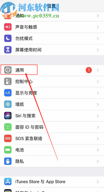 iPhone 11启用键盘听写功能的方法