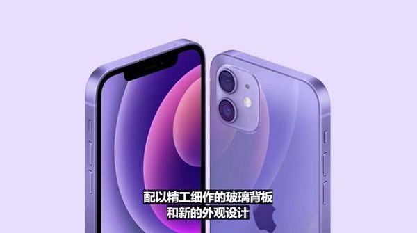 iphone12紫色多大尺寸