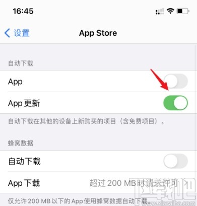 iPhone关闭应用自动更新的操作方法