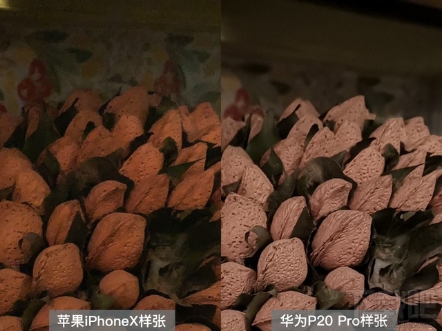 华为P20Pro和iPhoneX拍照哪个好？华为P20 Pro和iPhone X手机相机成像对比图赏