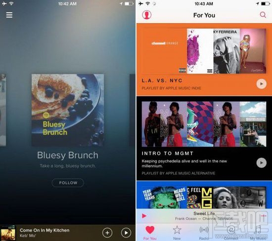 Apple Music与Spotify应用对比，哪个更好？