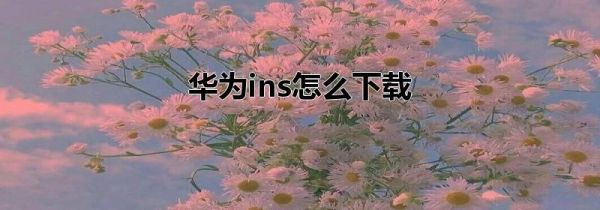 华为ins怎么下载