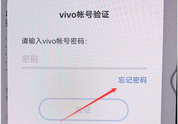 vivo手机清除数据需要密码怎么办