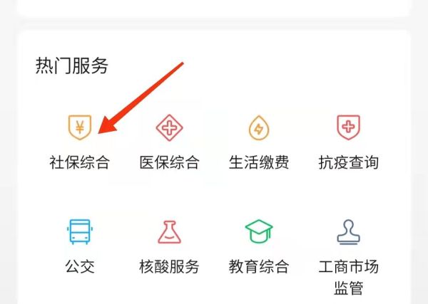 手机怎么查询养老金发放明细