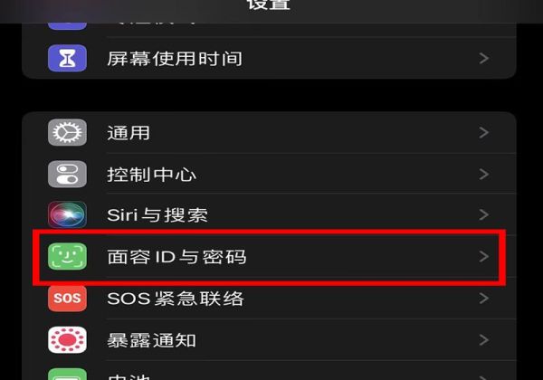 苹果手机下载软件怎么用人脸识别