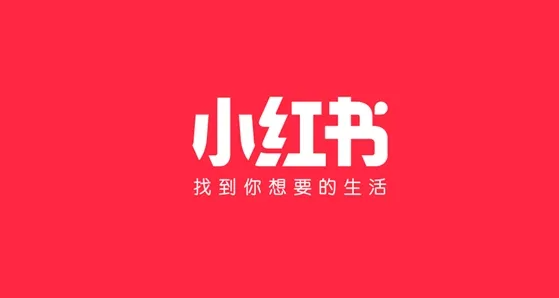 小红书手机和ipad不能同时登陆