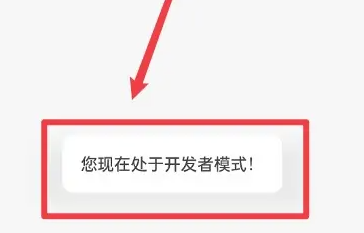 一加ace2开发者选项打开方法