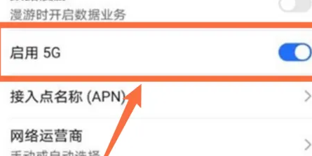 荣耀畅玩40c开启5g方法
