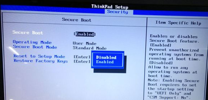 Thinkpad重装系统要按哪个键？Thinkpad装系统按哪个快捷键？