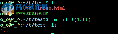 使用rm命令删除特定文件的方法