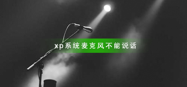 xp系统麦克风不能说话