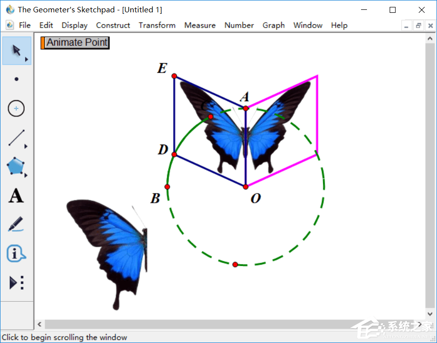 几何画板怎么制作蝴蝶动画？几何画板制作蝴蝶动画的方法
