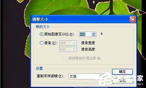 ACDSee中如何利用魔术棒抠图？ACDSee中利用魔术棒抠图的方法步骤