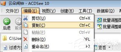 ACDSee中如何使用粘贴功能？ACDSee中使用粘贴功能的操作步骤