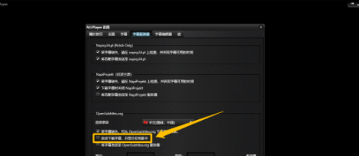 ALLPlayer设置自动显示字幕步骤介绍