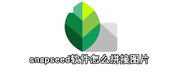 snapseed软件如何拼接图片_snapseed拼接图片步骤解析