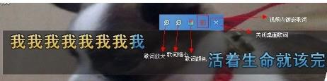 YY伴侣具体使用方法介绍