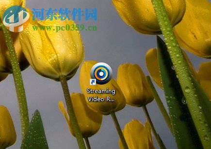 Apowersoft Streaming Video Recorder下载网页视频的方法