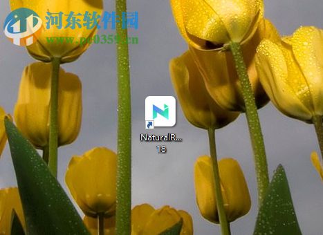 naturalreader 15将文字保存为mp3音频文件的方法