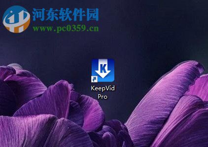 KeepVid 7下载网页音乐的方法