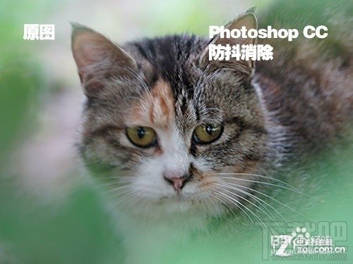 Photoshop CC如何反向补偿消除模糊画面