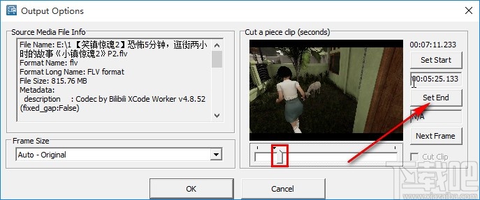 Freemore Video to GIF Converter将视频转换为GIF的方法