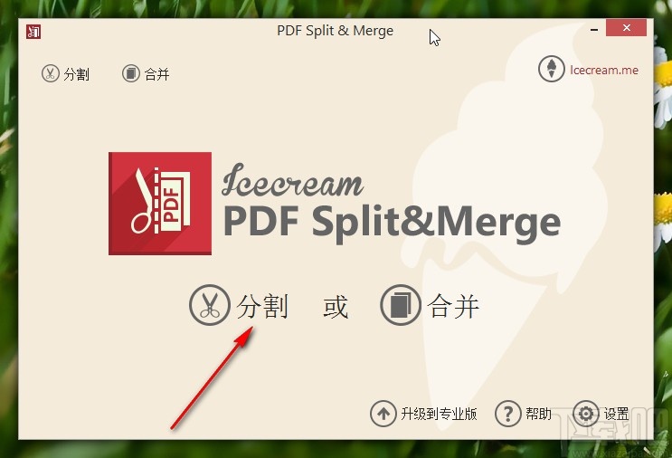 Icecream PDF Split and Merge设置中文界面的方法