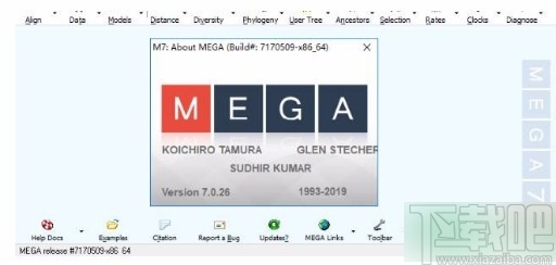 mega7将FASTA文件转为MEGA文件的方法