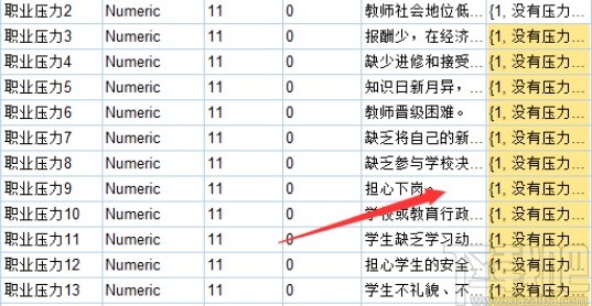 spss设置变量标签的方法步骤