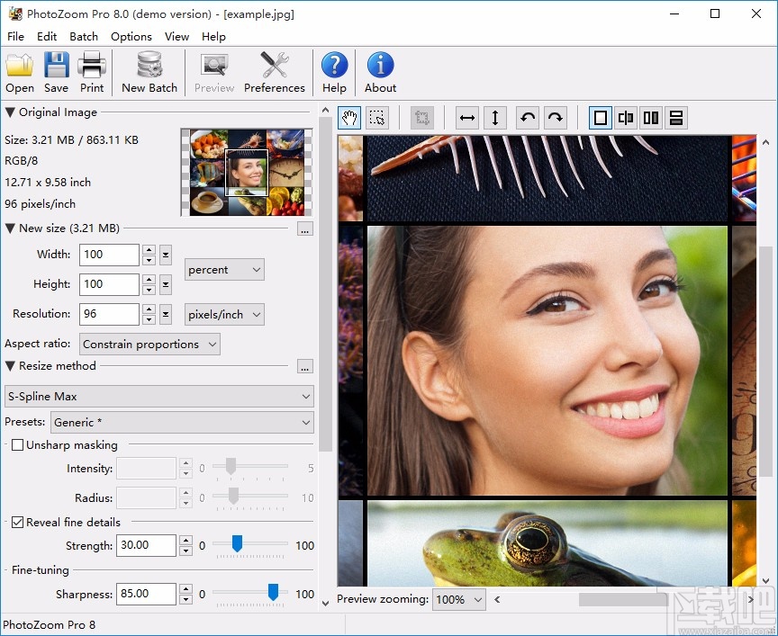 BenVista PhotoZoom Pro设置中文的方法