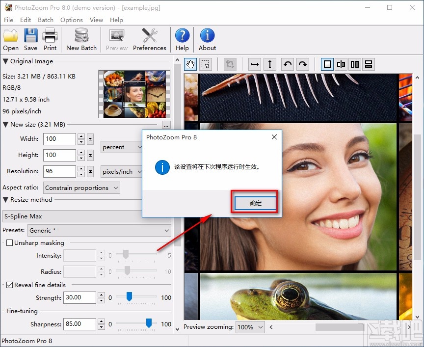 BenVista PhotoZoom Pro设置中文的方法