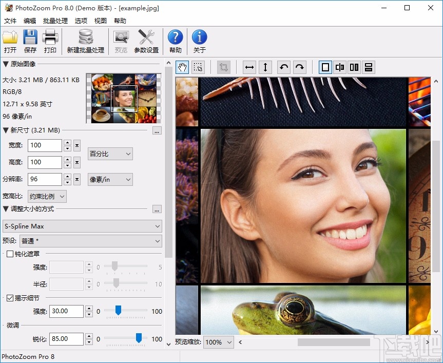 BenVista PhotoZoom Pro设置中文的方法