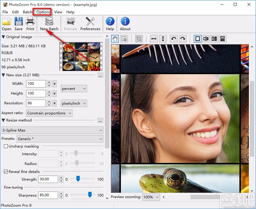 BenVista PhotoZoom Pro设置中文的方法