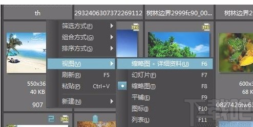 acdsee设置浏览模式的方法