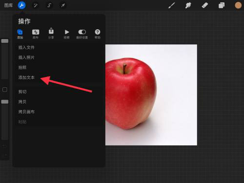 procreate如何添加文本