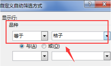 excel设置筛选条件区域步骤介绍