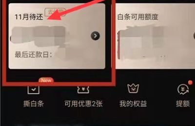 京东白条如何还款